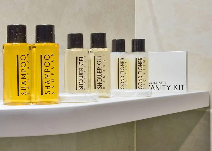 Отель Alphonse 3*