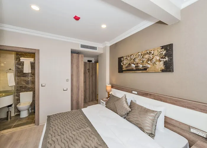 Отель Alphonse 3*